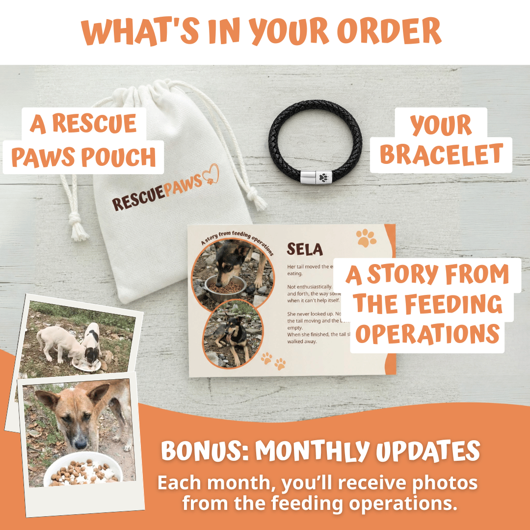 What's in your Rescue Paws order: men's bracelet, pouch and story card